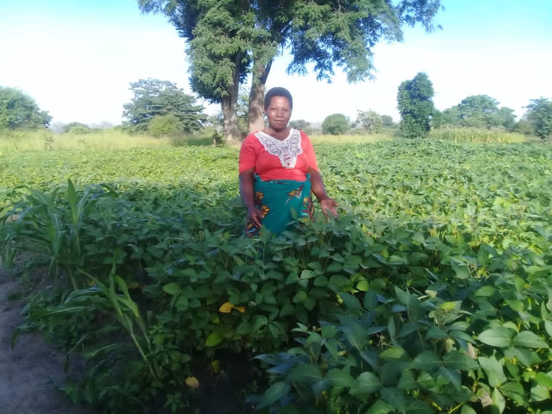 Chindimba Producer Group